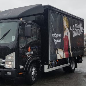 Logistics BusinessVersatile Truck Perfect For Urban and Rural Deliveries