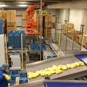 Logistics BusinessIndustry View: Quick Automation Solutions Can Solve Labour Shortage