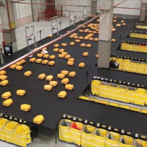 europes-largest-robotic-parcel-sorting-system-goes-live