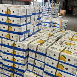 Logistics BusinessAA Cargo Flies Record Volumes of Mango
