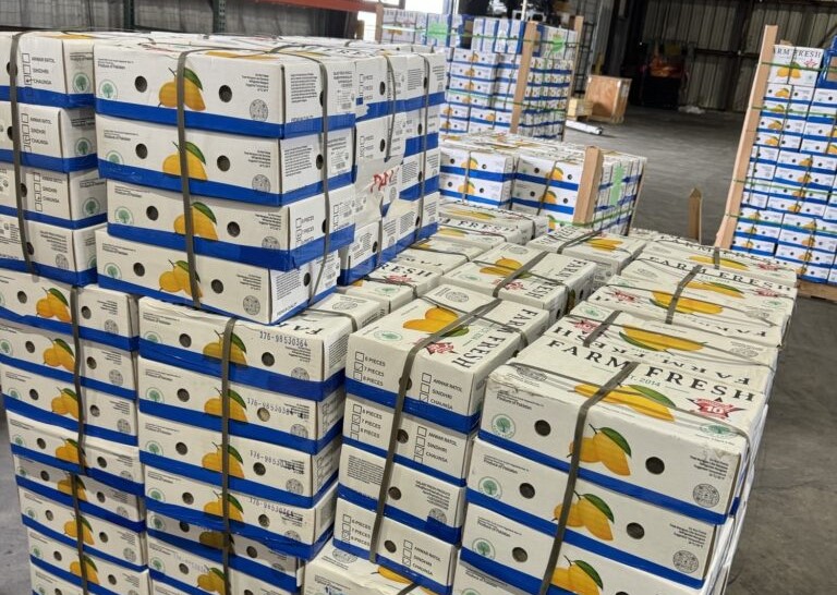 Logistics BusinessAA Cargo Flies Record Volumes of Mango