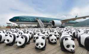 Cathay Cargo turn to new technology to transport Giant Panda