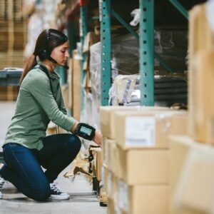 Logistics BusinessNavigating Black Friday Logistics