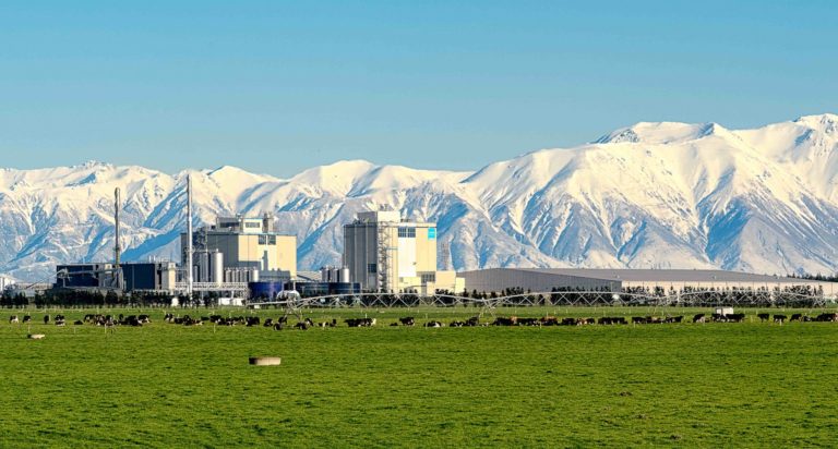 Cimcorp’s MultiPick Adds the Cream for NZ Milk Producer