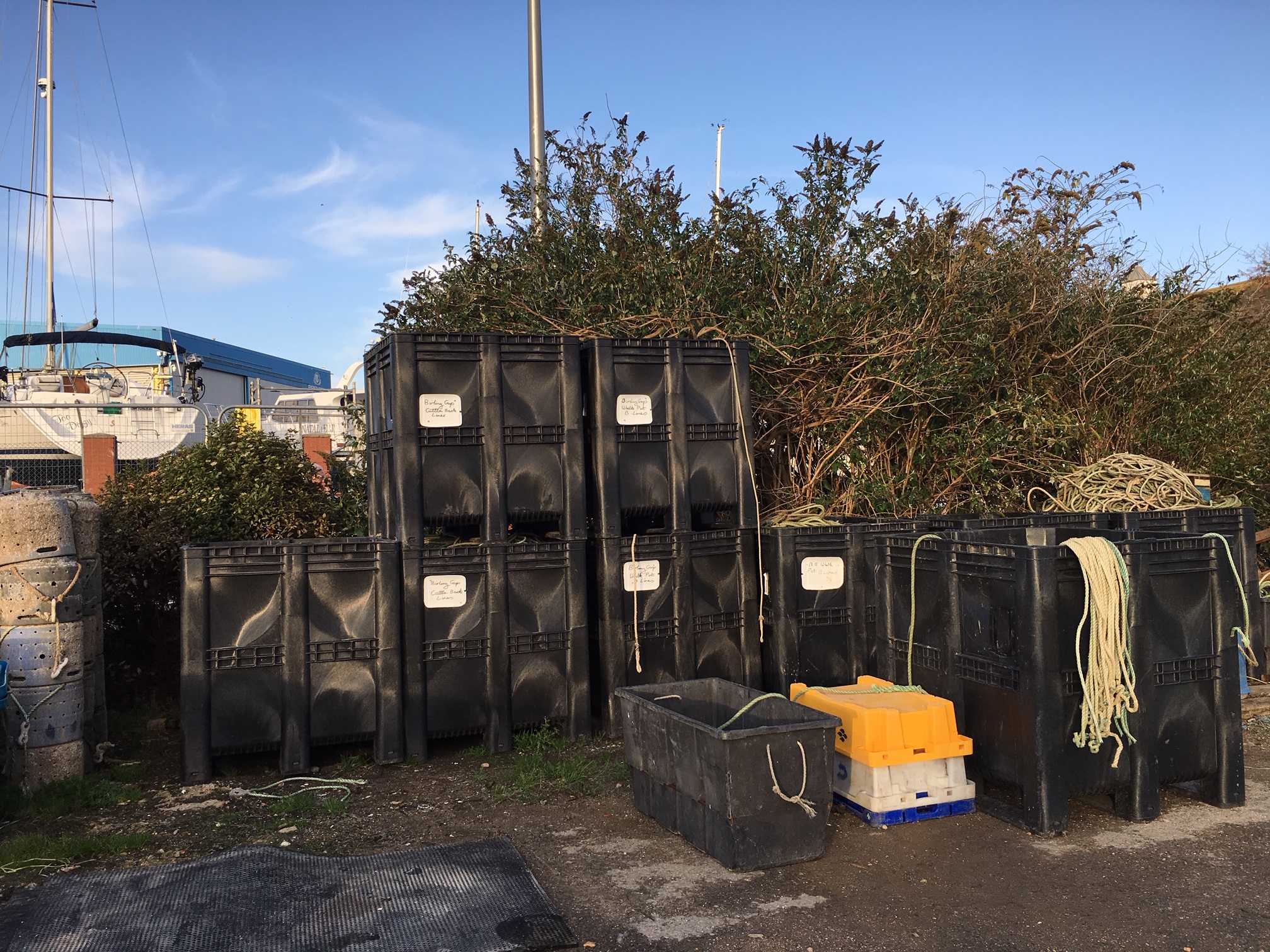 Plastic Pallet Specialist Reels in Tasty New Catch