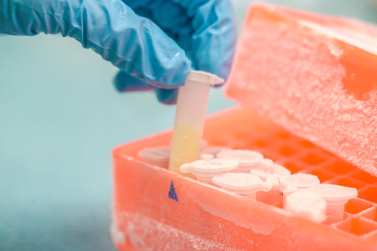 Cold Storage Solutions to Support COVID-19 Vaccine Distribution Launches