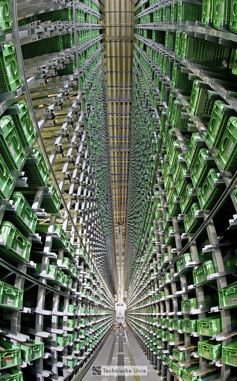 Glocalisation