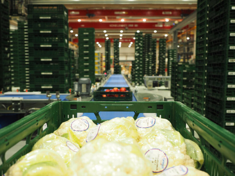 Edeka automates its fresh produce logistics