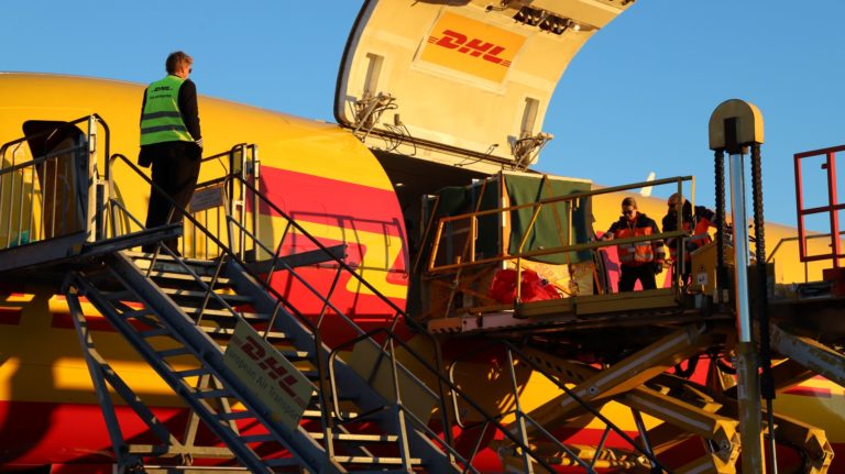 DHL flies gorilla to new London home