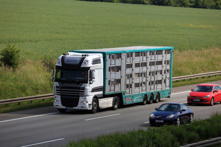 Live Animal Transport: EU Tables Improved Conditions