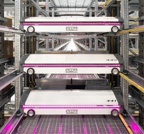 Rapid Order Processing at Very’s Automated DC