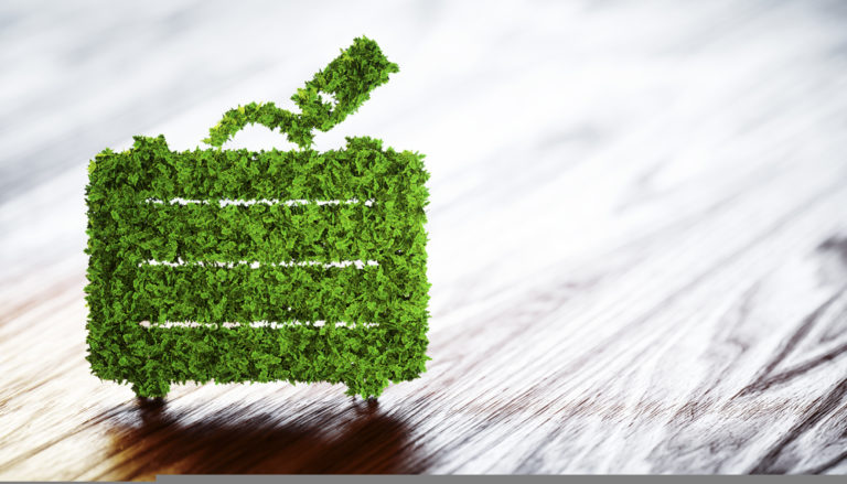 Leading Sustainability in Logistical Operations