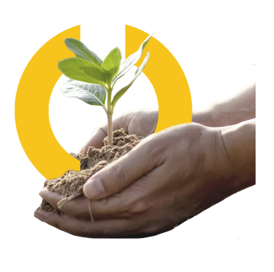 Transporeon aims for carbon neutrality