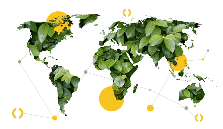Transporeon report: the road to net zero