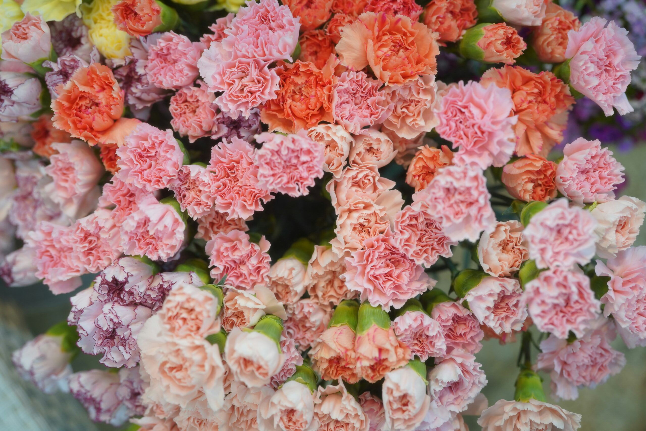 Pallet Pooler helps Flowers for Mothers Day