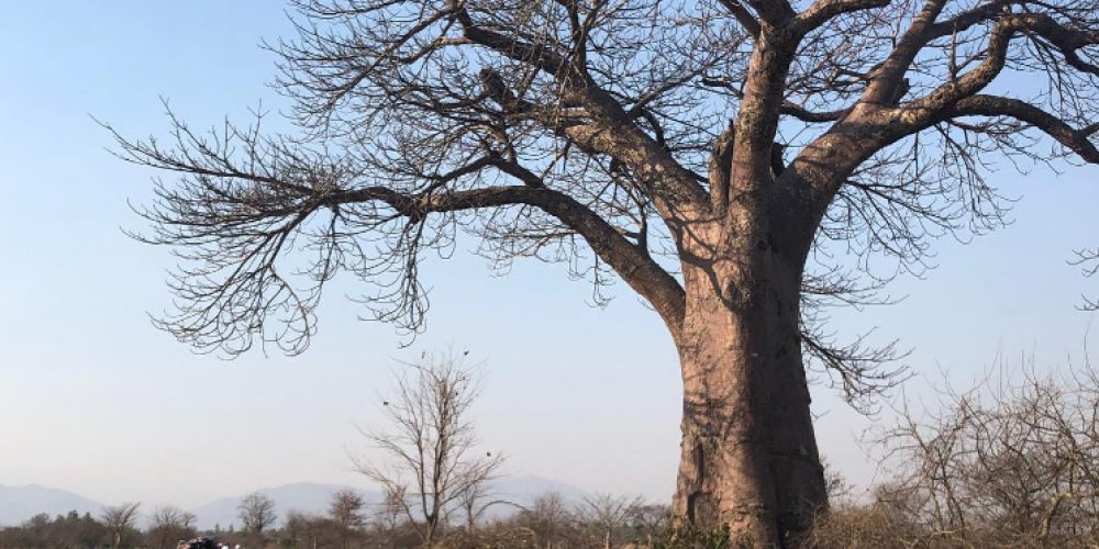 405-02-Transaid-Cylce-Challenge-Double-Header