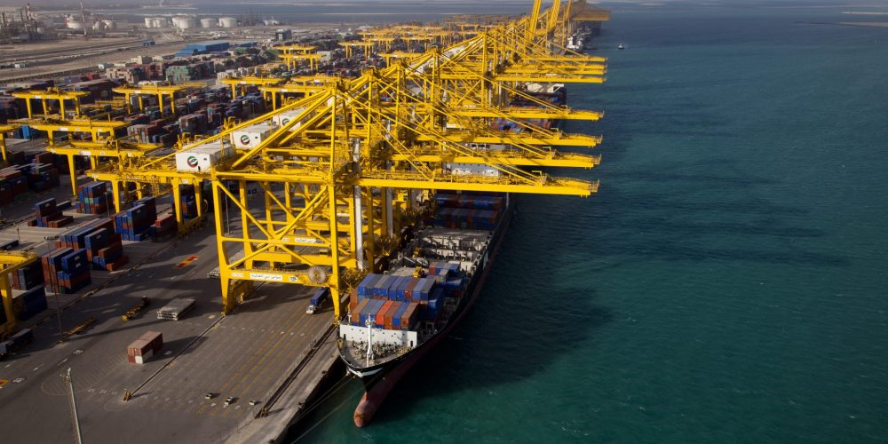 DP-world-7 DP-world-7