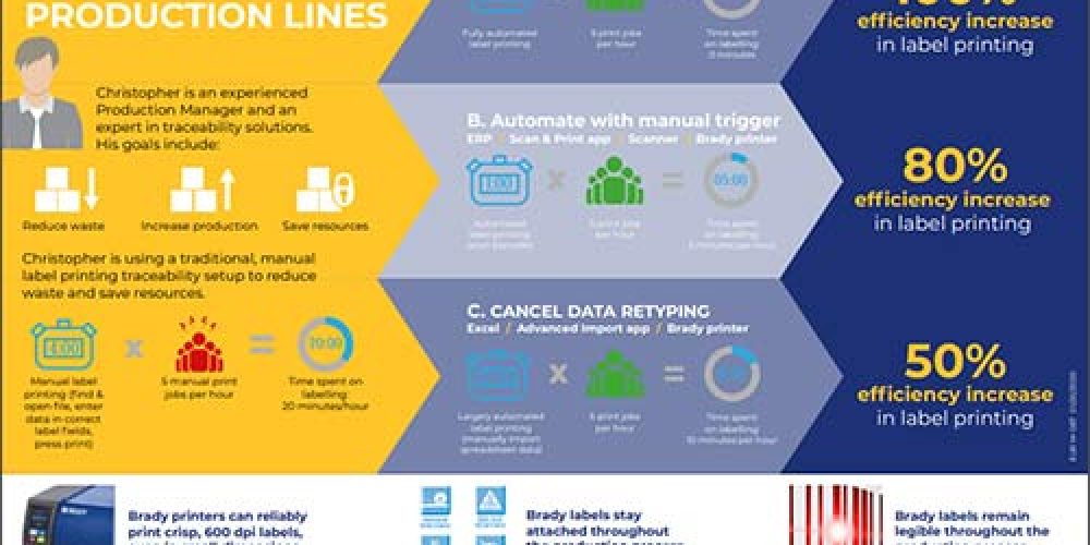 Infographic_IP_EN-preview Infographic_IP_EN-preview