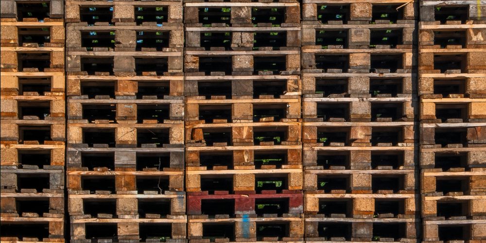 Photo-courtesy-of-lucas-van-oort-NAPD