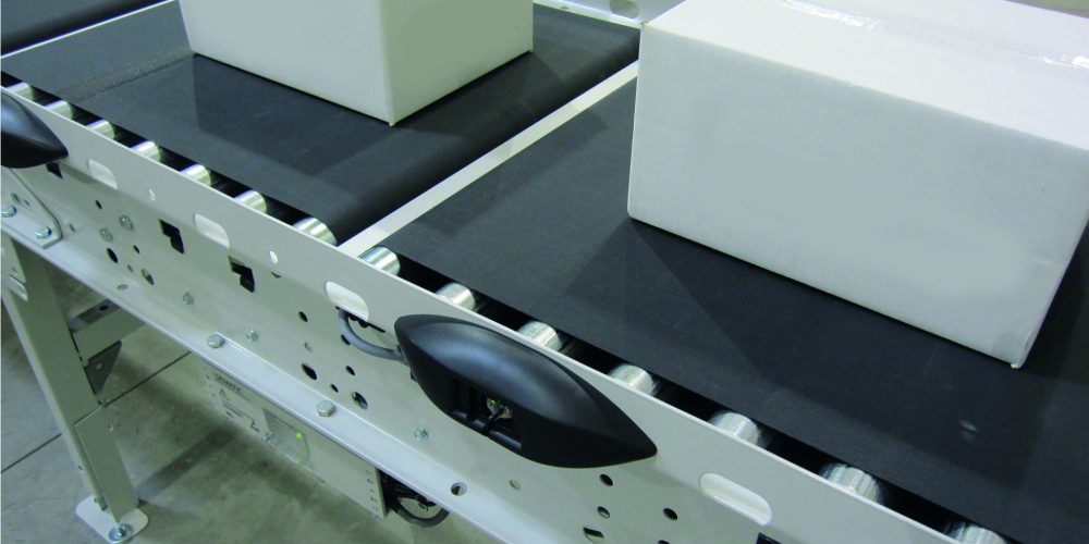 Rapplon-Segmented-Belt Rapplon-Segmented-Belt