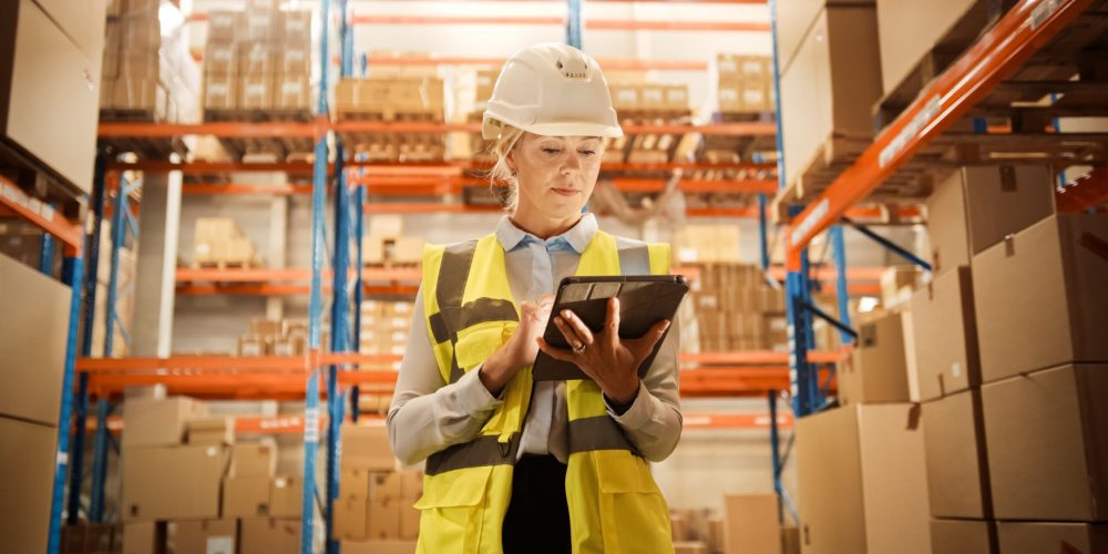 Warehouse Maturity Curve